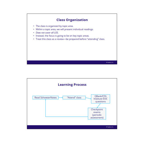cfa-2026-level-2-schweser-masterclass-videos-with-workbook_2_1332533084