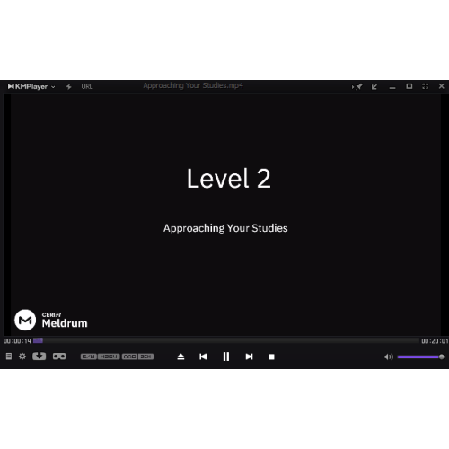 l2mmvideo_1